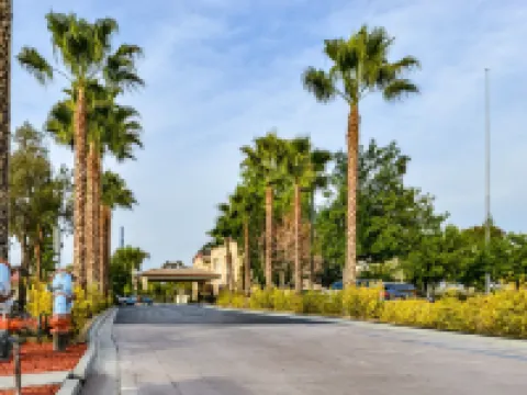 Citrus Suites Redlands Loma Linda Hotel Hotels in Redlands