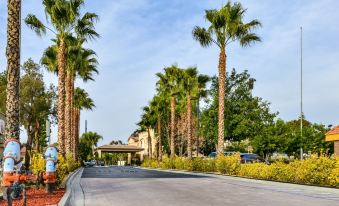 Citrus Suites Redlands Loma Linda Hotel