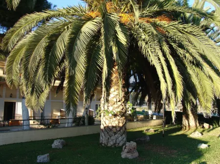 Ignatia Hotel Отели в г. Арголида