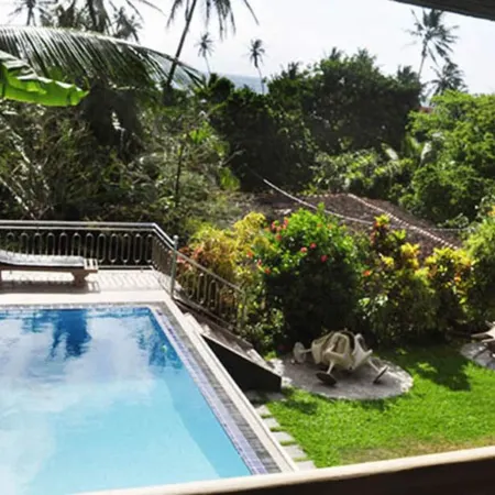 Little Paradise