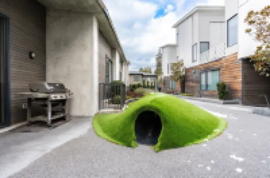 Sophari's Apartments in Bellevue