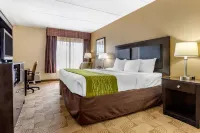 Comfort Inn Warner Robins - Robins Air Force Base Area Hotels in Warner Robins