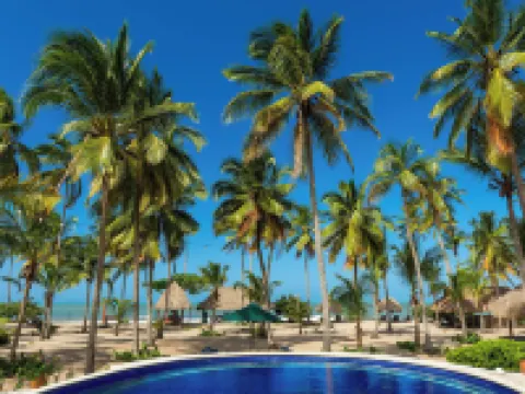 Aite Eco Resort Hotels in Dibulla