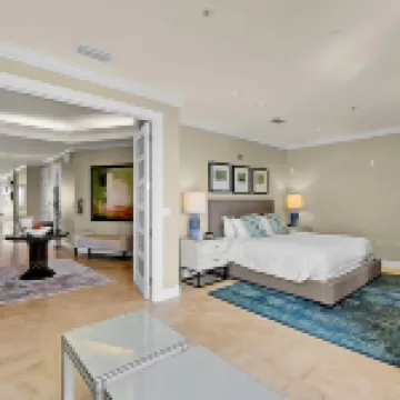 豪華頂層公寓帶360度海景