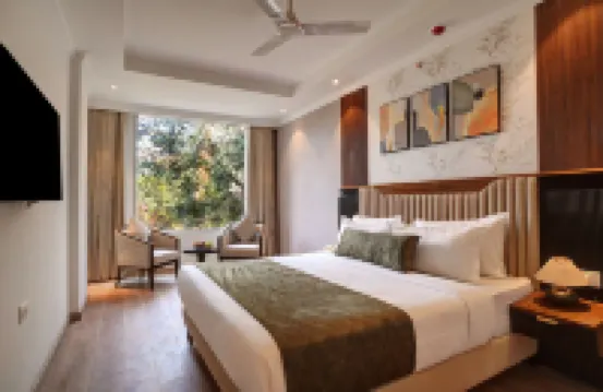 Iva Premium Delhi Airport - Free Airport Drop Hotels near Zafar Mahal