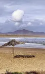 @Ritokazo - Homestays