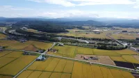 Yadoya Yadokari
