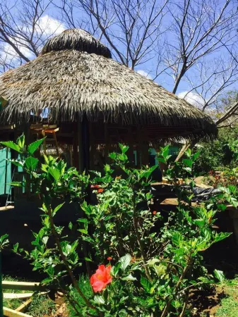 Cabañas Hua'ai Village Отели рядом с достопримечательностью «Museo Antropologico Sebastian Englert»