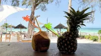 Seashore Villa - Beach