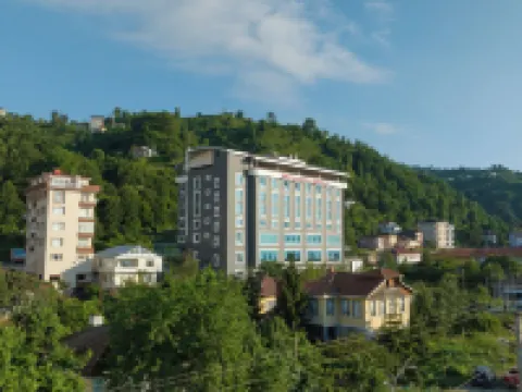 Newarise Hotel Hotels in Rize