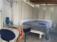 Cozy cabin under majestic banyan tree