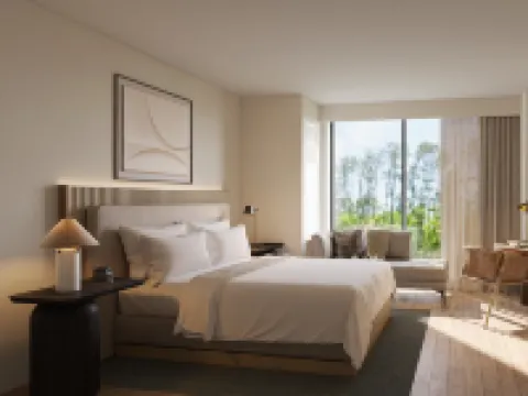 Hilton Jacksonville at Mayo Clinic Hotels in Jacksonville