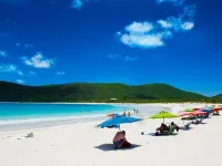 Breathtaking relaxing!! Easy Walk to the Beach,Very Private Pool Setting - Beach