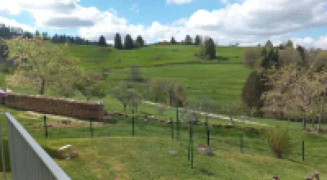 Calm and tranquility