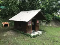 Farmhouse and forest