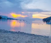 Magnificent Ocean View Condo with private beach/seafront