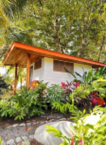 Beachfrontgem- Owner’s Villa, Now Taking Reservations April-December.