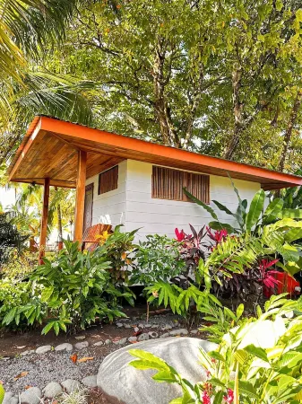 NEW DIRECT BEACHFRONT VILLA, 2 BR, 2bath-stunning sunsets- discounts, book now