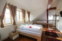 Hotel Vila Katrca - Wifi
