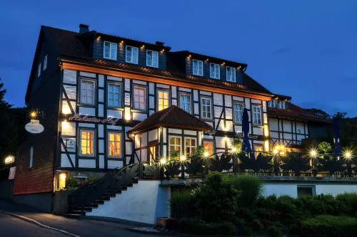 Hubertus Hof Hotels in Goslar