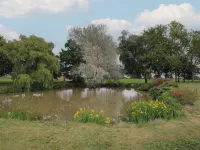 The Oaks Hotels in Ellesmere