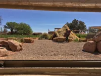 Atacama Loft & Glamp - Mountain view