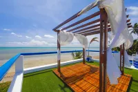 솔라리스 이코포자다