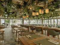 菲格斯俱樂部帕爾馬諾瓦公園 帕爾馬諾瓦酒店