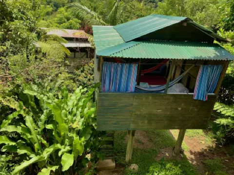 Le Petit Paradis Hotels in 