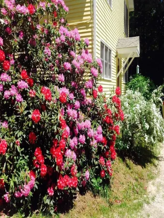 Nana's House Отели рядом с достопримечательностью «AT trailhead Woodstock VT»