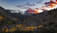 Mt Williamson Motel and Basecamp