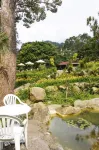 Hemerocerite Forest Countryside Bed and Breakfast Hotels in Miaoli