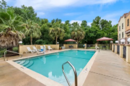 คอมฟอร์ต สวีทส์ ดาฟนี - โมบิล อีสต์ เบย์