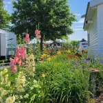 Otter Creek View! 2-Bedroom house with all the amenities! Hotels in Ferrisburgh