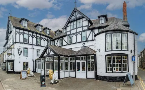 White Lion Royal Hotel Hotels in Llandderfel