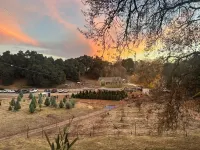 Charming 1-bedroom cottage in the country yet minutes to the 101 and downtown.