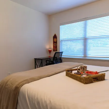 Sleeps 8,3 bed, 2 bath, North Dallas in Colony, 20 mins from DFW/DAL Airport