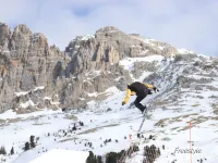 Apartment/ flat - Vigo di Fassa