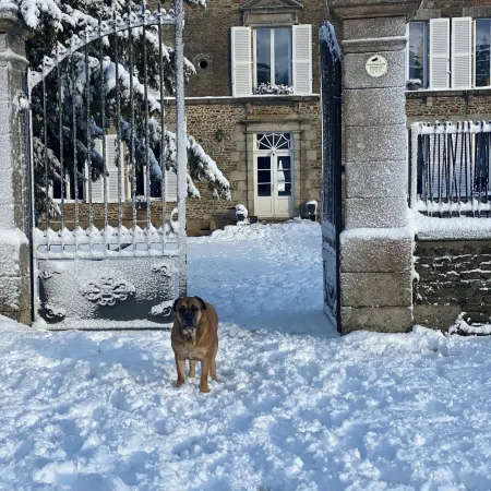 Château pour groupe