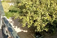 Villa floor in Radès Plage Hotels in 