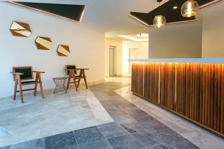 Perfect Studio Light and Nature in Aldea Zama