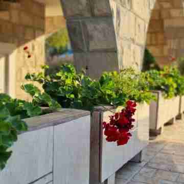 King Room with Balcony Mountain View Others