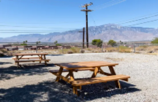 C3- Modern Black & White Interior w/ a Warm Boho Edge