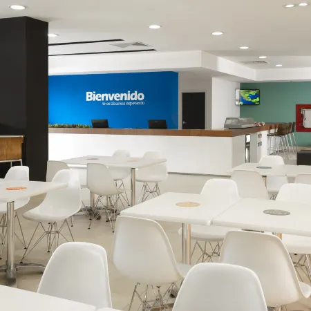 One Xalapa Las Animas