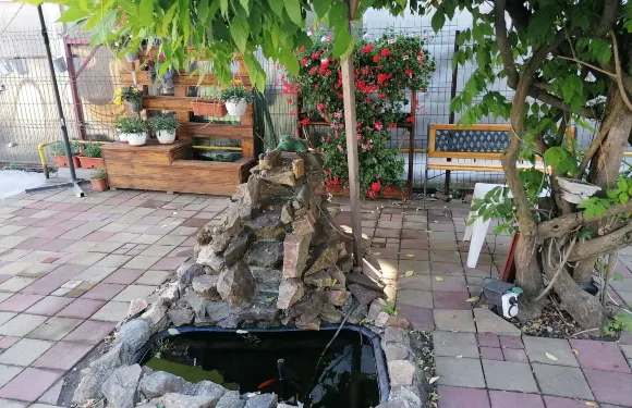 約安娜膳宿公寓