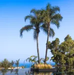 Maritim Marina Bay Luxury Resort Hotels in Vlore