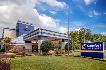 Comfort Inn & Suites Clemson - University Area