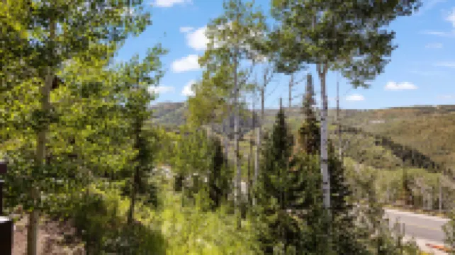 Elegant mountain retreat at Deer Valley, walk to skiing, private hot tub, mountain views Hotels in 