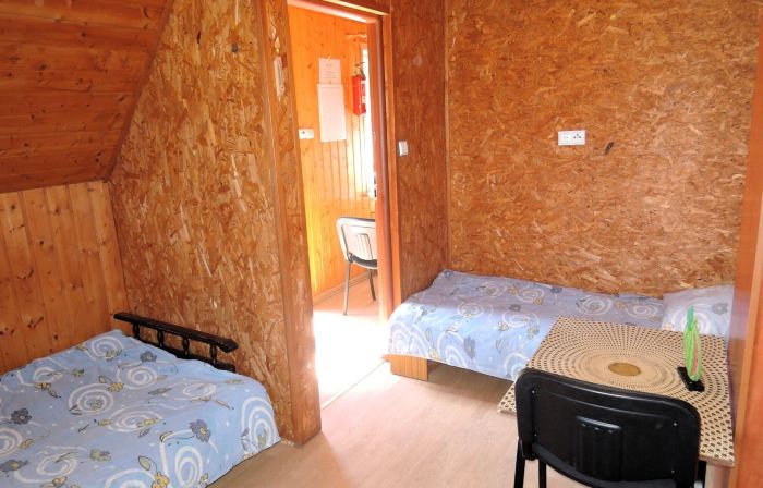 Rustic Stay Surrounded by Forests
