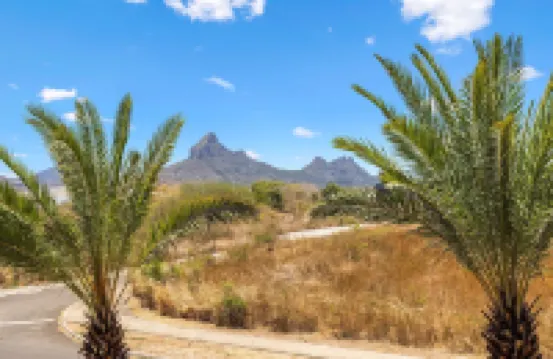 美麗生活塔馬林公寓